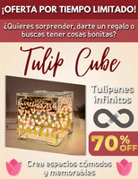 Tulip Cube 🌷🌷🌷