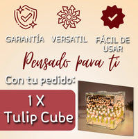 Tulip Cube 🌷🌷🌷