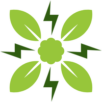 BIO ACTIVE